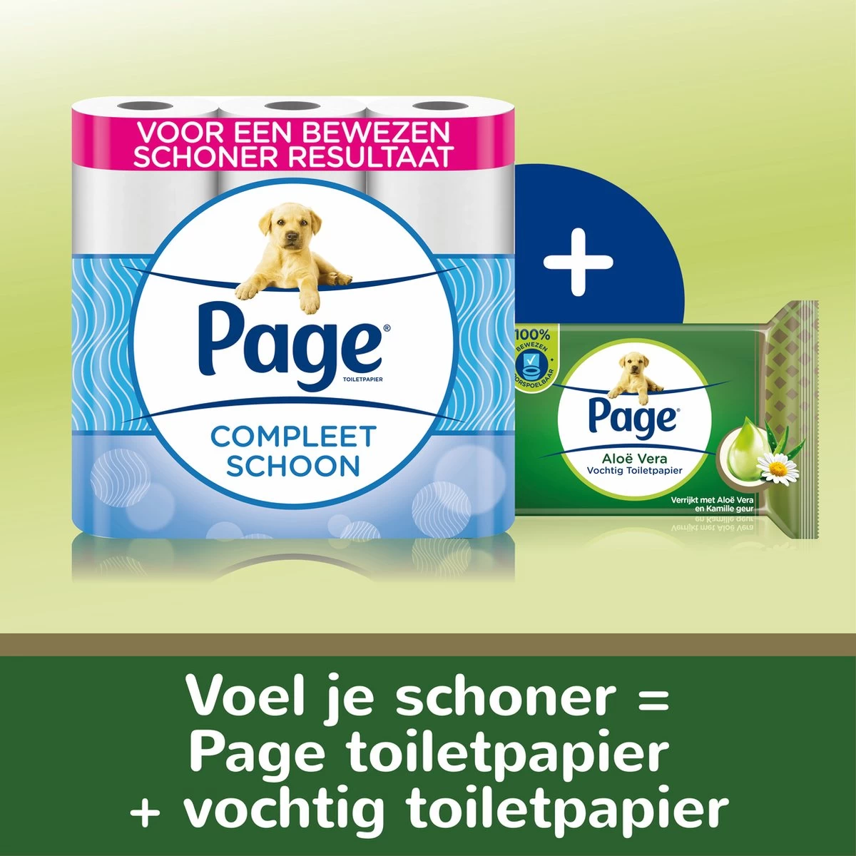 Page Vochtig Toiletpapier - 12 X 38 Stuks - Aloë Vera Vochtig Wc Papier - Voordeelverpakking - Afbeelding 3