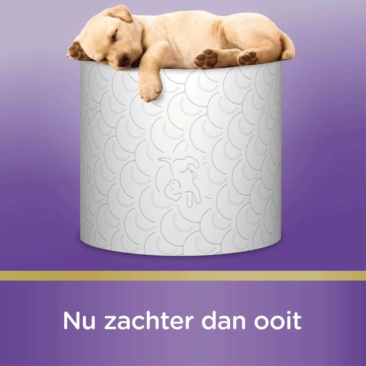 Page Toiletpapier - 36 Rollen - Kussenzacht Wc Papier (3-laags) - Voordeelverpakking - Afbeelding 5