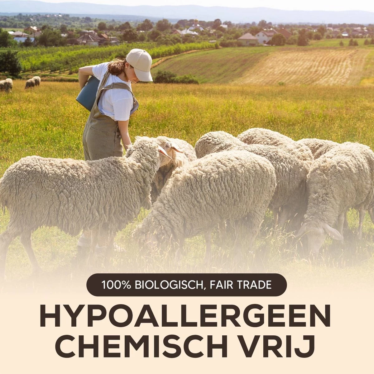 Drogerballen - Droogballen - Wasdrogerballen - Dryerballs - 6 Stuks - XL Formaat - Wol - Set - Afbeelding 5