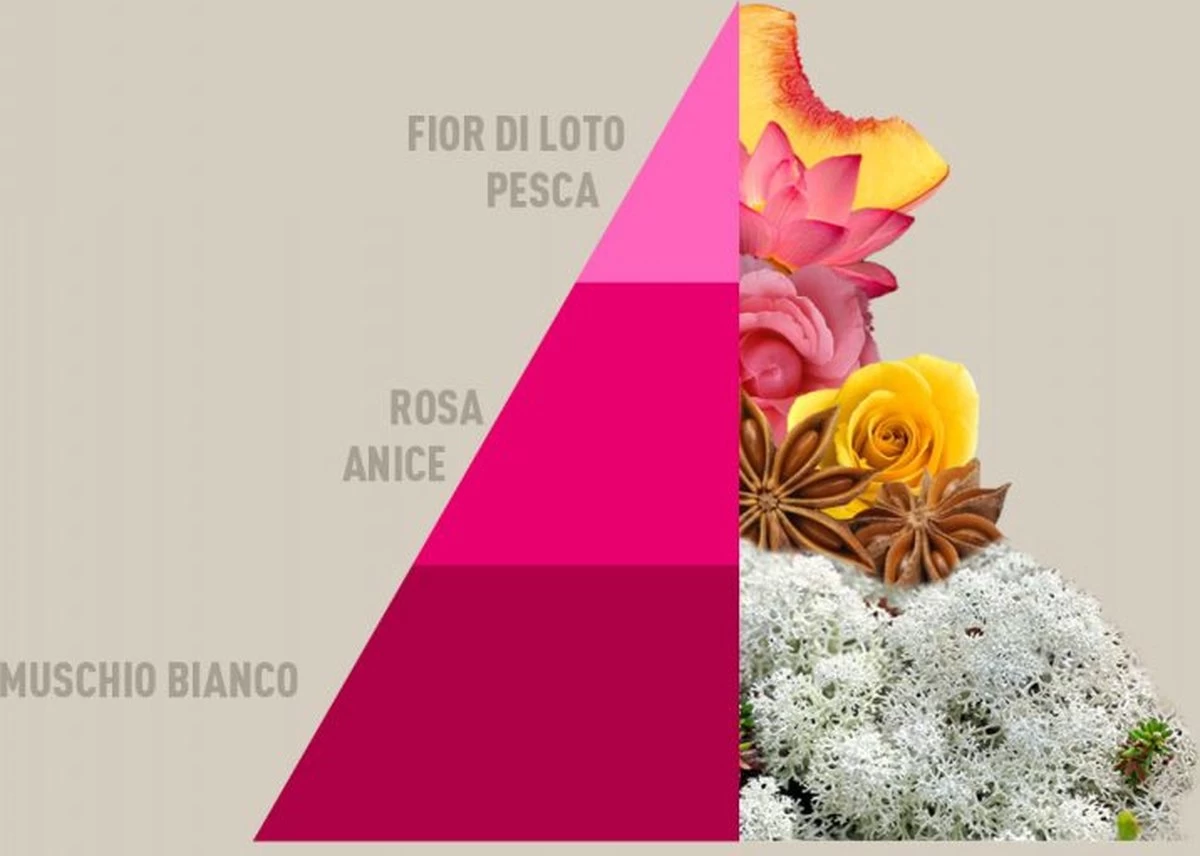 Horomia Wasparfum Muschi-e-Loto - 500ml - Afbeelding 2