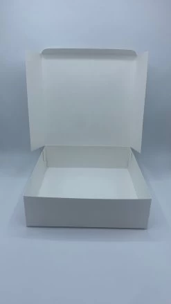 25 Stuks - Taartdoos - Karton - 15x15x8cm - Wit